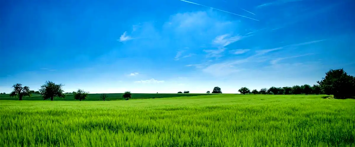 Ora Karjat Captain Corridor Ora Karjat Captain Corridor